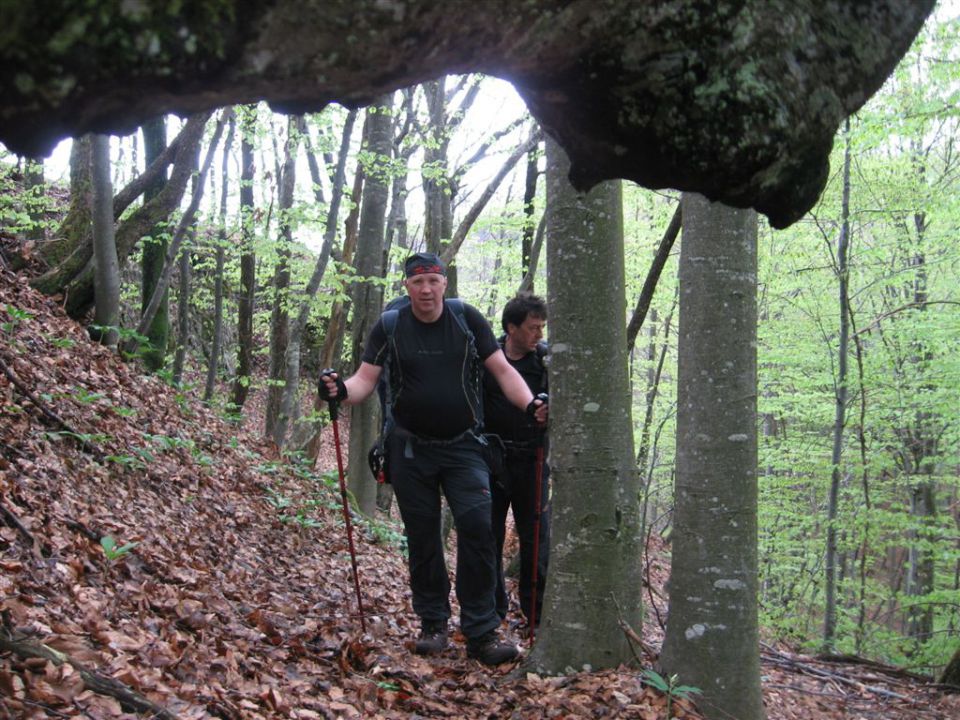 BOROVSKA GORA, 28.4.2013 - foto povečava