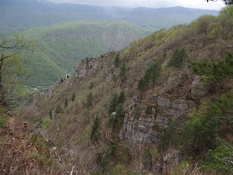 BOROVSKA GORA, 28.4.2013 - foto povečava