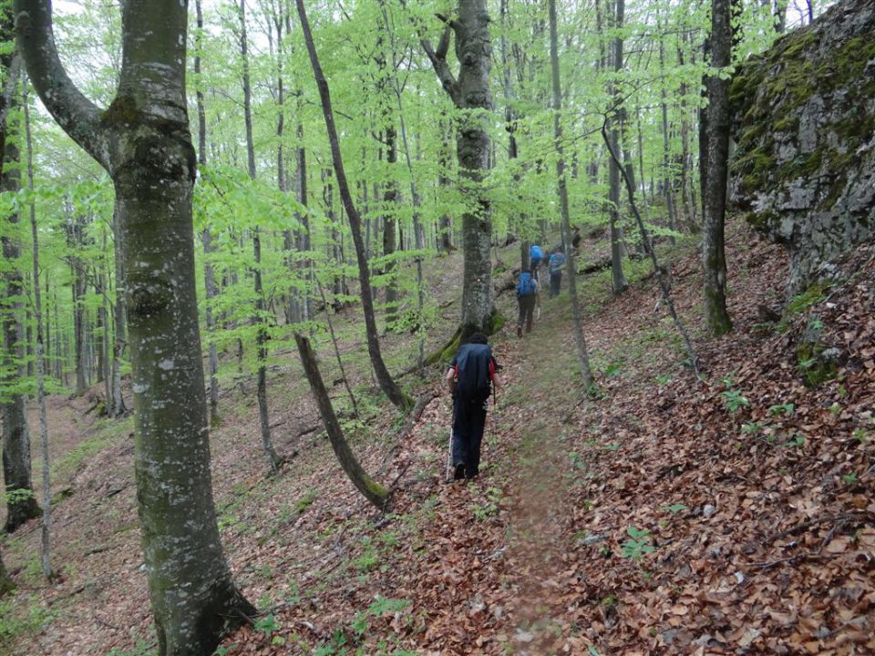 BOROVSKA GORA, 28.4.2013 - foto povečava