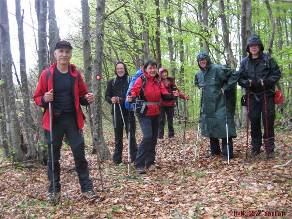 BOROVSKA GORA, 28.4.2013 - foto povečava