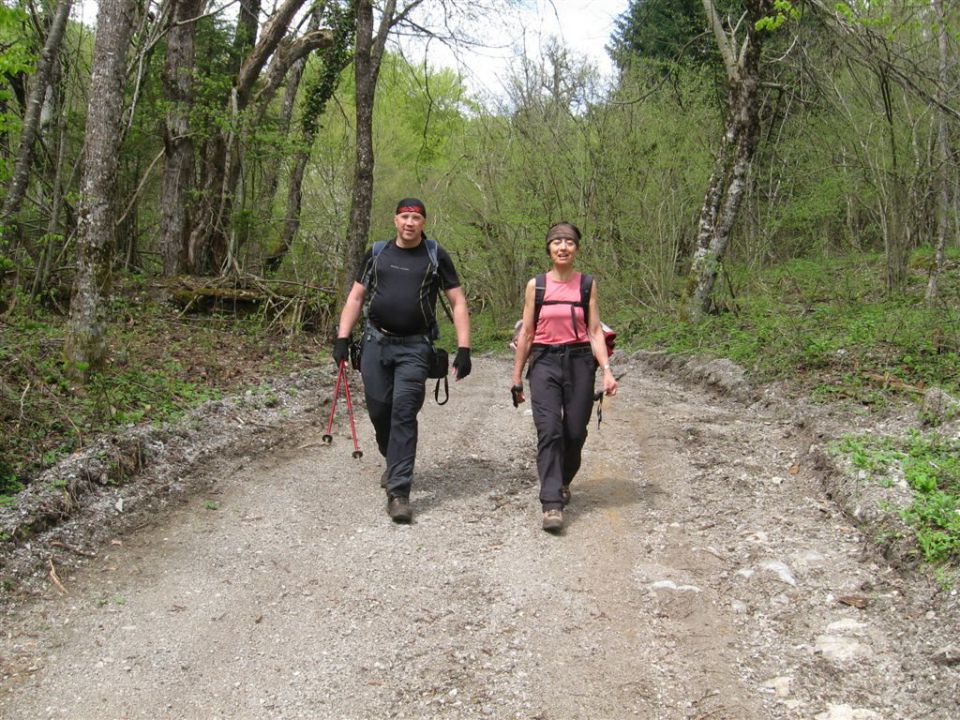 BOROVSKA GORA, 28.4.2013 - foto povečava