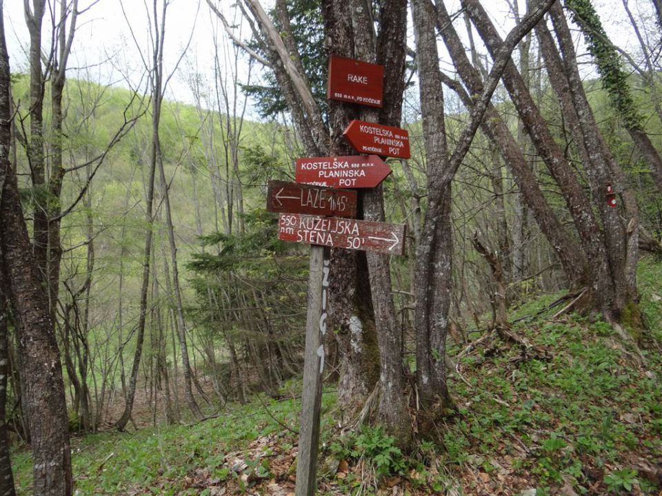 BOROVSKA GORA, 28.4.2013 - foto povečava