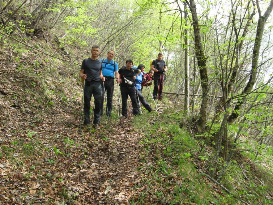 BOROVSKA GORA, 28.4.2013 - foto povečava