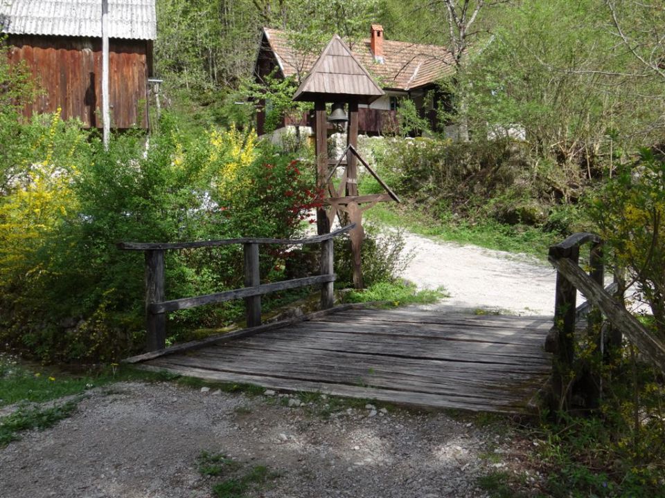 BOROVSKA GORA, 28.4.2013 - foto povečava