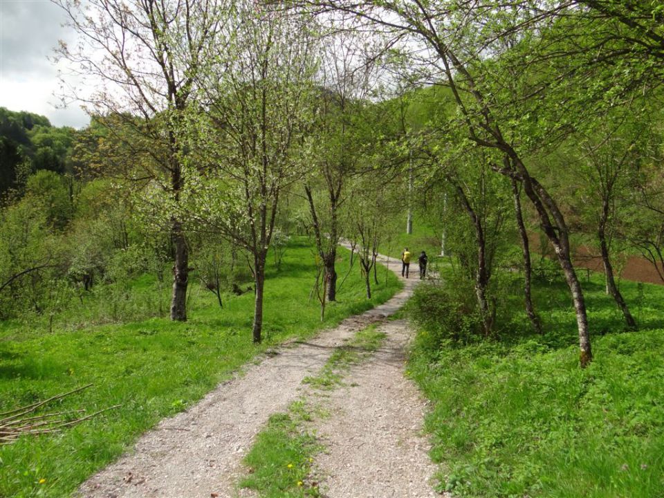 BOROVSKA GORA, 28.4.2013 - foto povečava