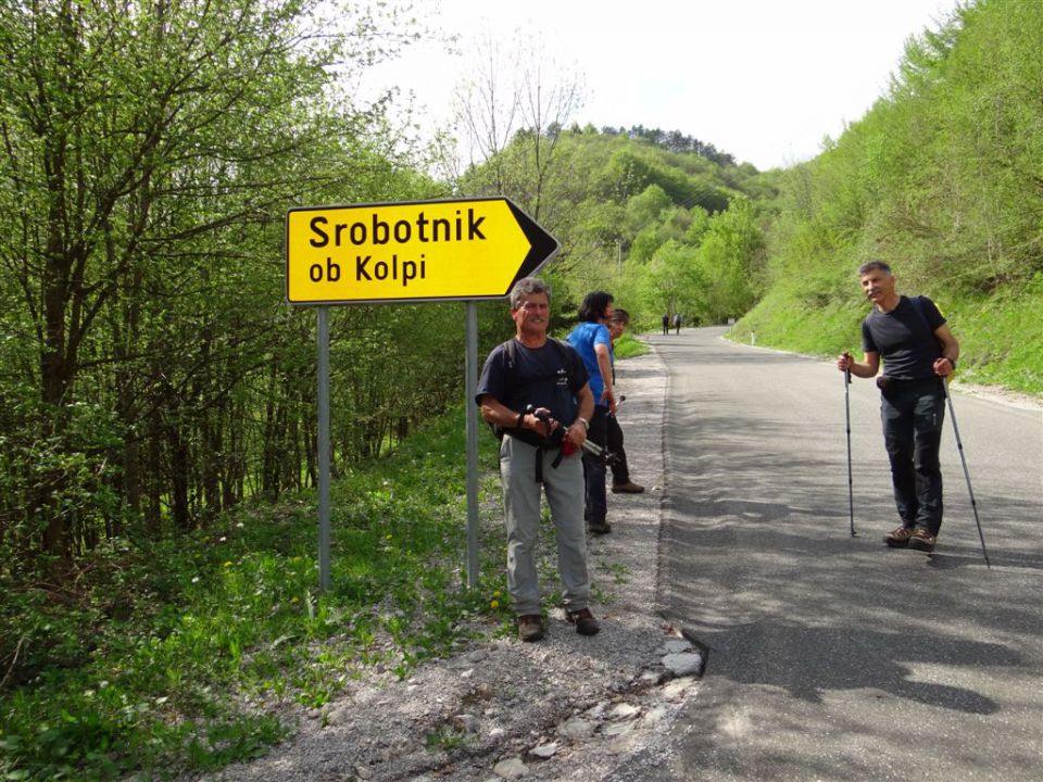 BOROVSKA GORA, 28.4.2013 - foto povečava