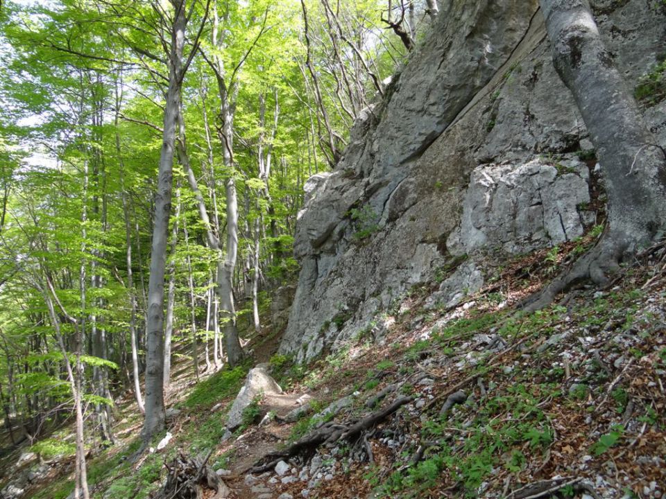 BOČ, 978 m, 1.5.2013 - foto povečava