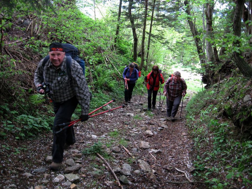 ROGLA-LOVRENŠKA JEZERA, 12.5.2013 - foto povečava