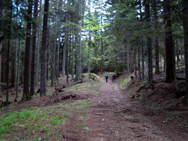 ROGLA-LOVRENŠKA JEZERA, 12.5.2013 - foto