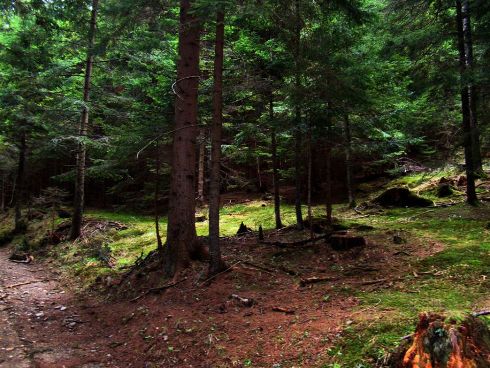 ROGLA-LOVRENŠKA JEZERA, 12.5.2013 - foto povečava