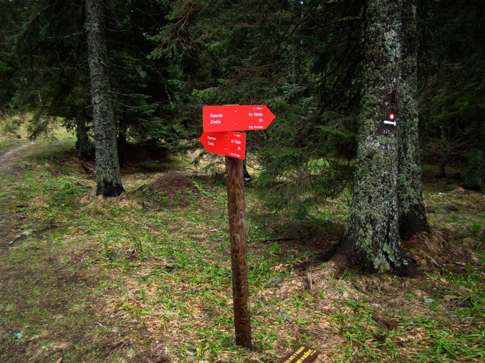 ROGLA-LOVRENŠKA JEZERA, 12.5.2013 - foto povečava