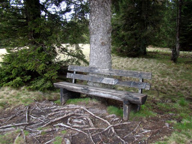 ROGLA-LOVRENŠKA JEZERA, 12.5.2013 - foto