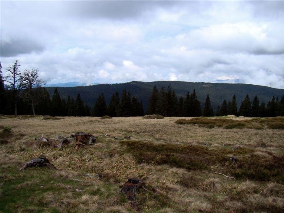 ROGLA-LOVRENŠKA JEZERA, 12.5.2013 - foto povečava