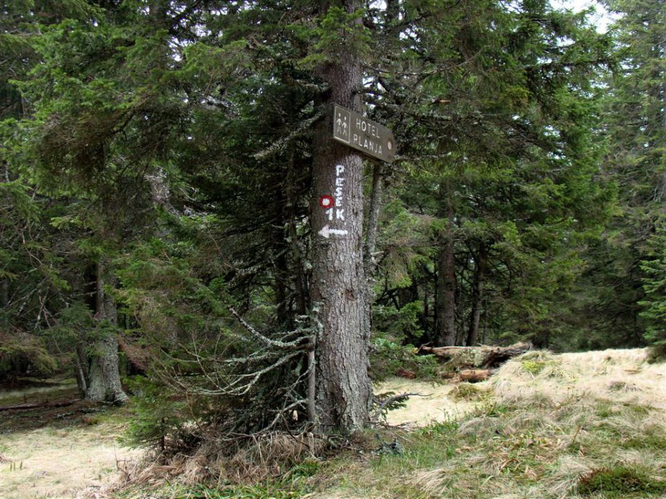 ROGLA-LOVRENŠKA JEZERA, 12.5.2013 - foto povečava