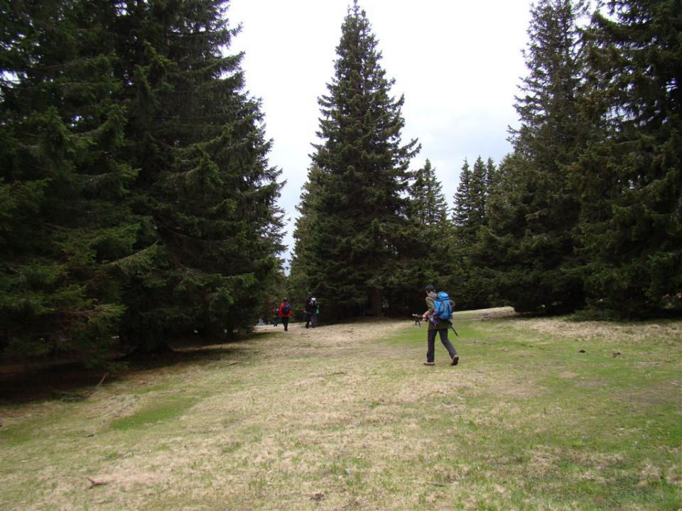 ROGLA-LOVRENŠKA JEZERA, 12.5.2013 - foto povečava