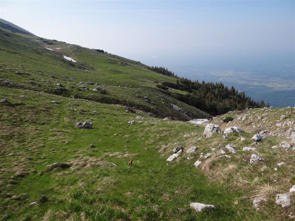 VAJNEŽ - POTOŠKI STOL - STOL, 2236m - foto povečava