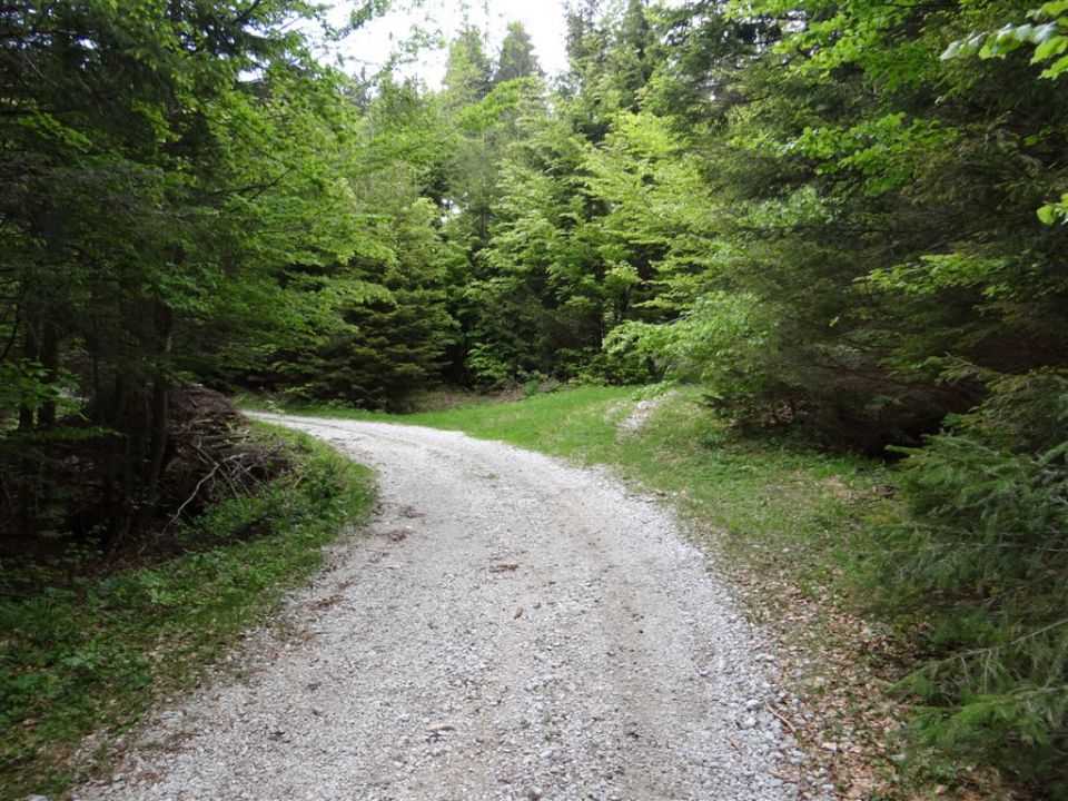 VAJNEŽ - POTOŠKI STOL - STOL, 2236m - foto povečava