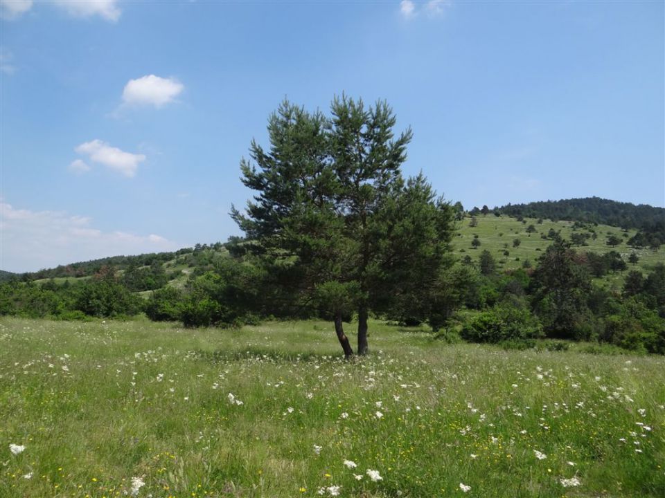 SV.TROJICA-SOCERB-TINJAN-ANKARAN - foto povečava