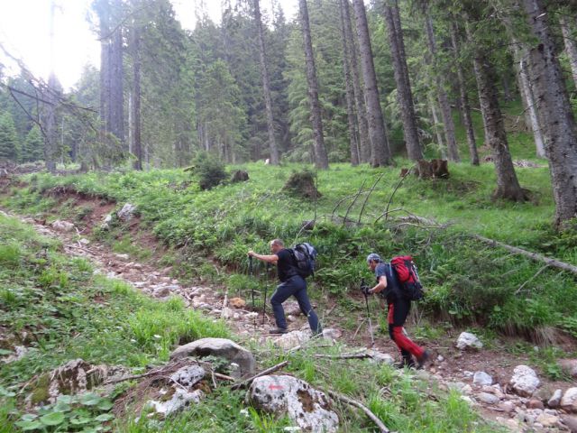 KOŠUTNIKOV TURN, 2133 m - foto