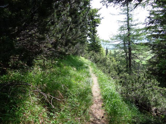KOŠUTNIKOV TURN, 2133 m - foto