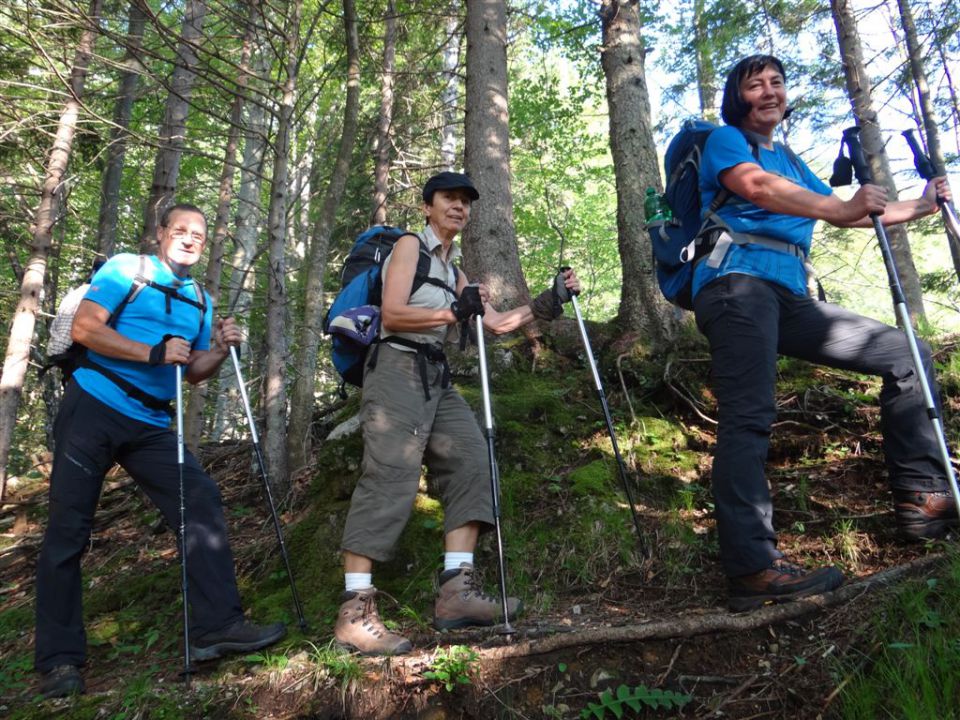 KALŠKA GORA, 2058 m - foto povečava