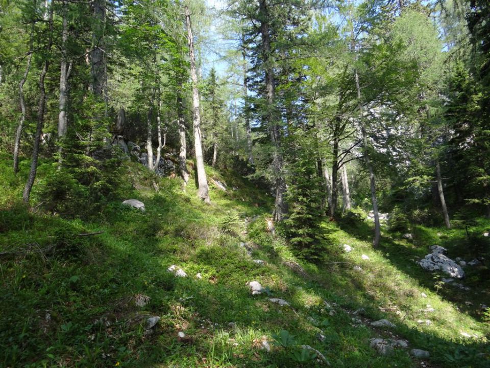 KALŠKA GORA, 2058 m - foto povečava