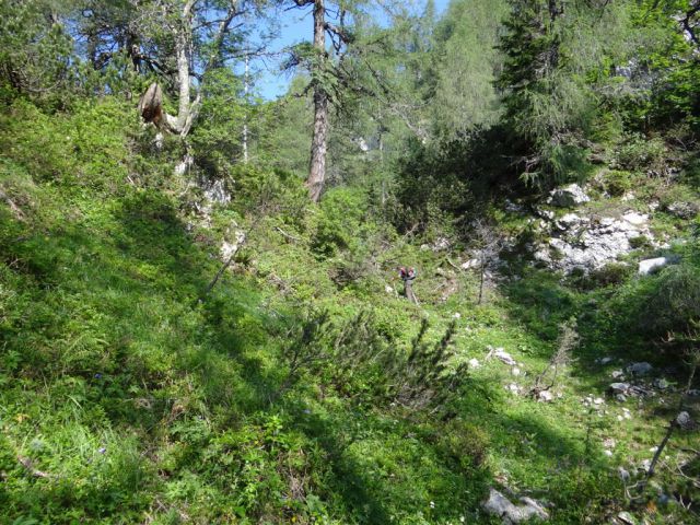 KALŠKA GORA, 2058 m - foto