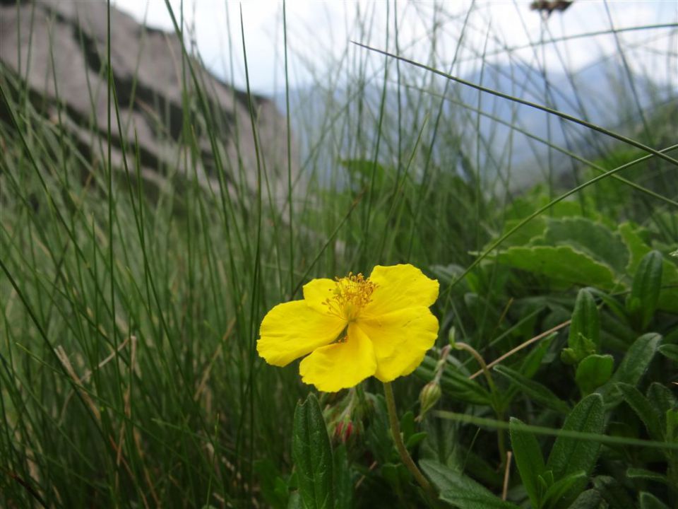 KALŠKA GORA, 2058 m - foto povečava