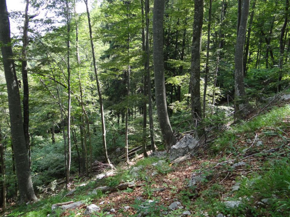 KALŠKA GORA, 2058 m - foto povečava