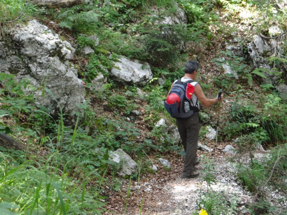 KALŠKA GORA, 2058 m - foto povečava