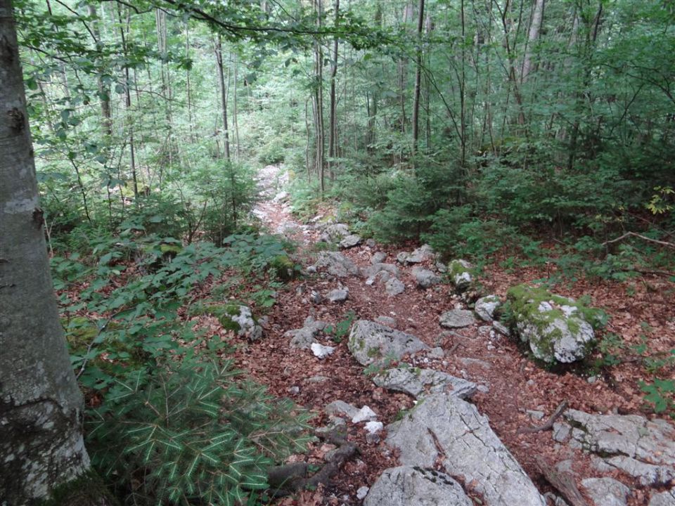 KALŠKA GORA, 2058 m - foto povečava