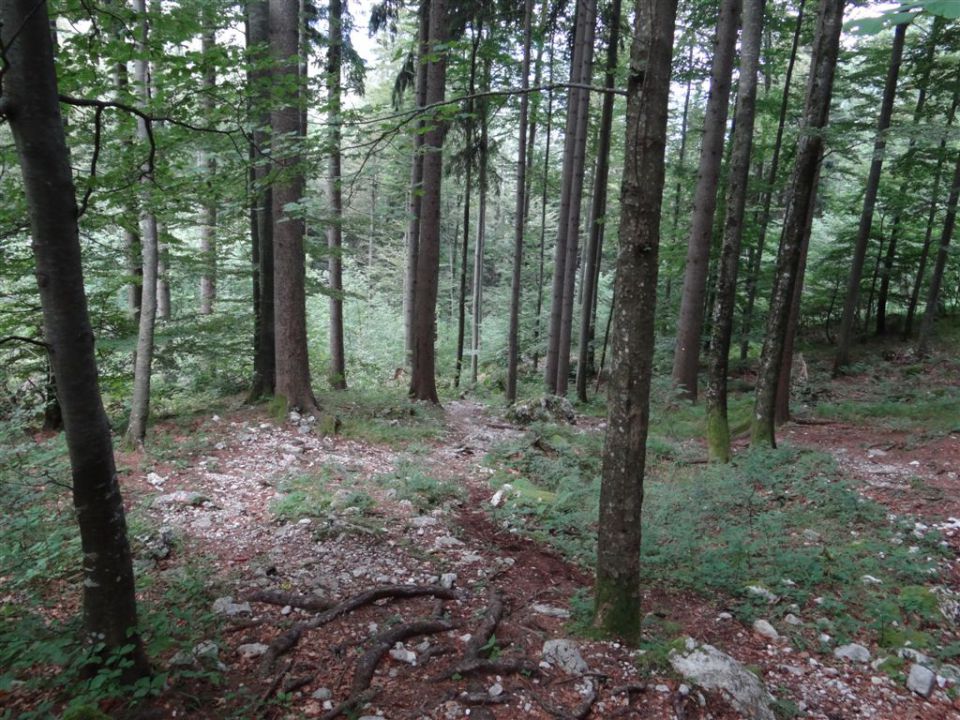 KALŠKA GORA, 2058 m - foto povečava