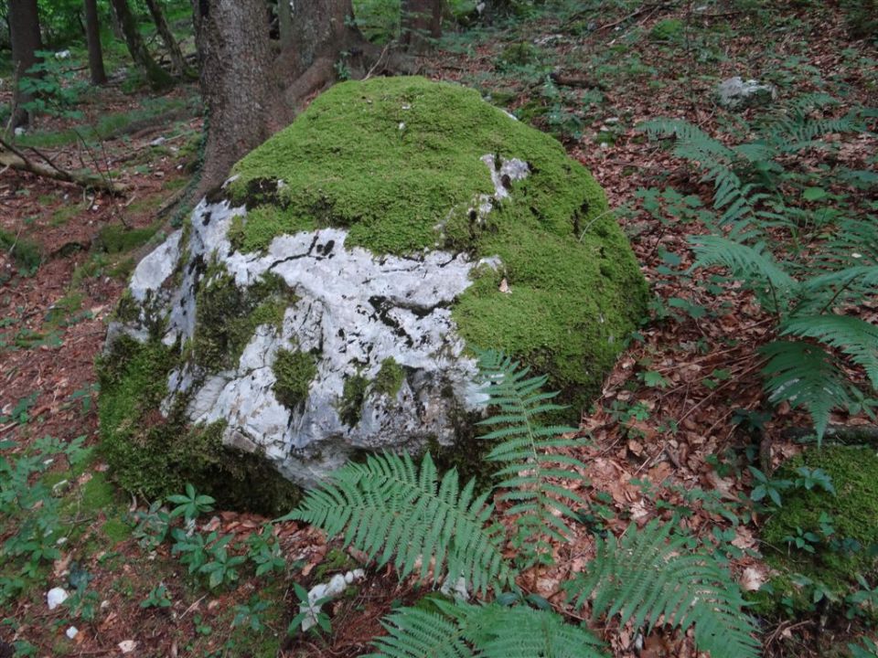 KALŠKA GORA, 2058 m - foto povečava