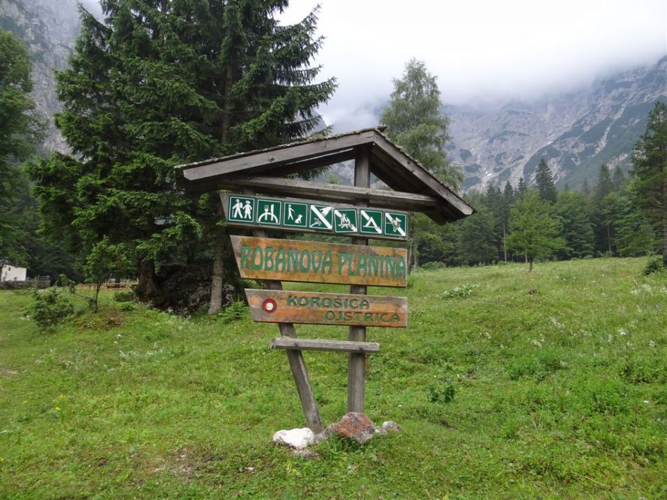 OJSTRICA, 2350 m_21.7.2013 - foto povečava