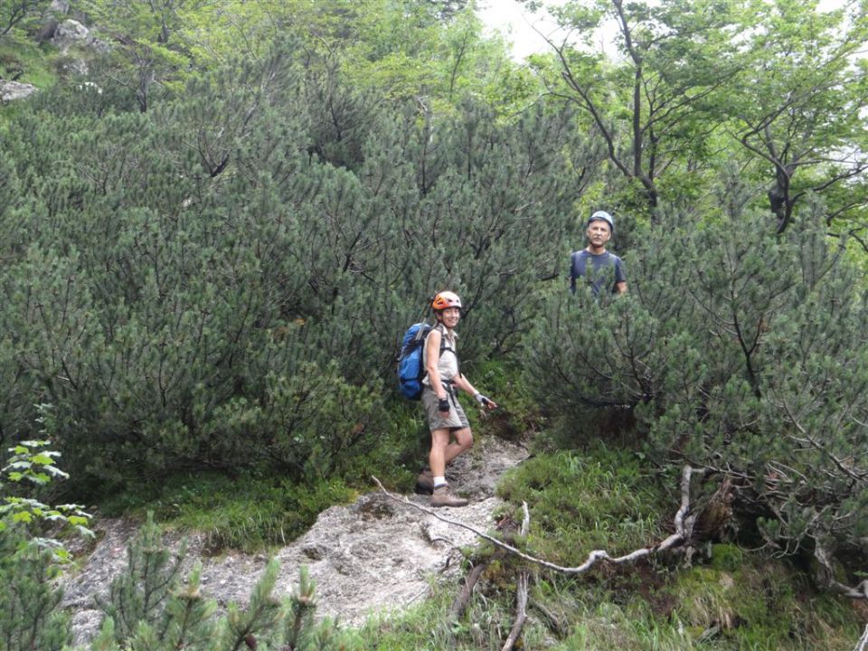 OJSTRICA, 2350 m_21.7.2013 - foto povečava