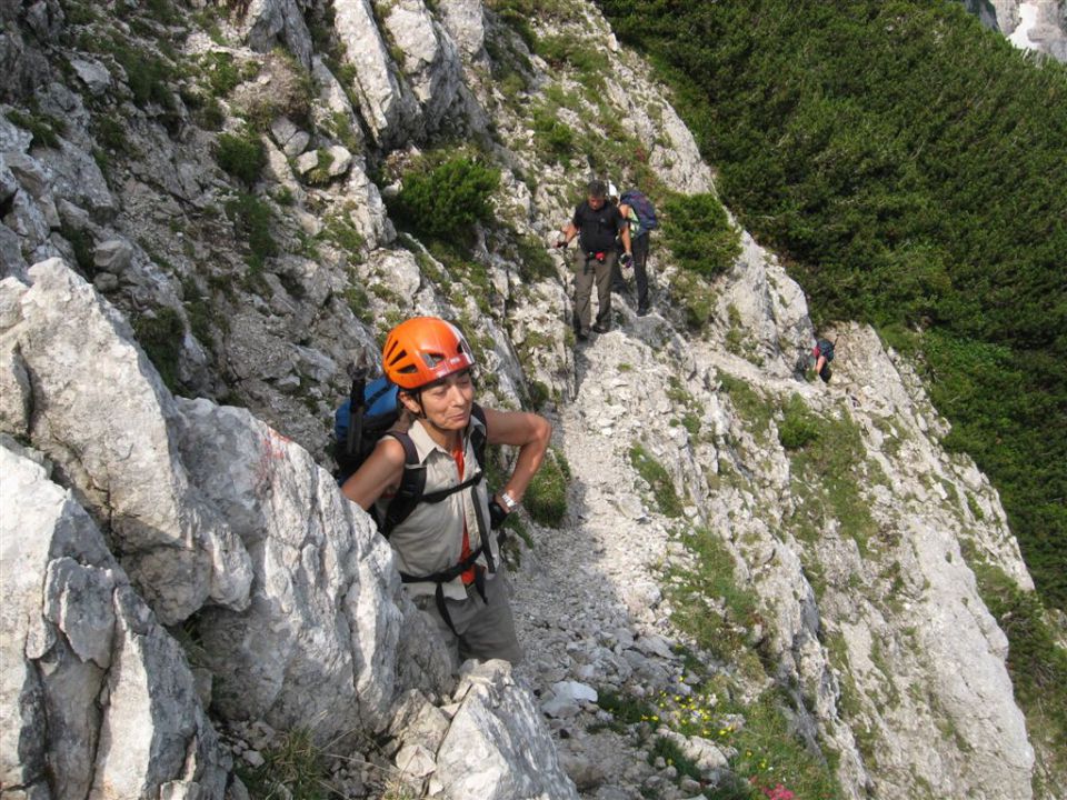 OJSTRICA, 2350 m_21.7.2013 - foto povečava