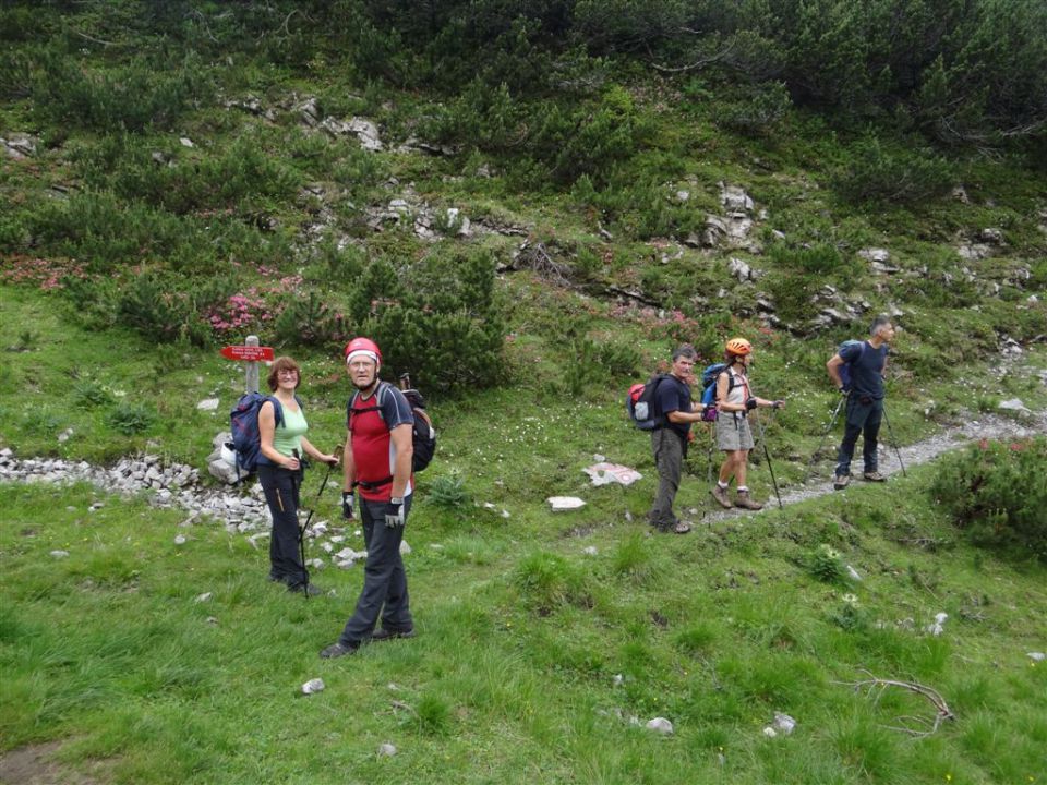 OJSTRICA, 2350 m_21.7.2013 - foto povečava