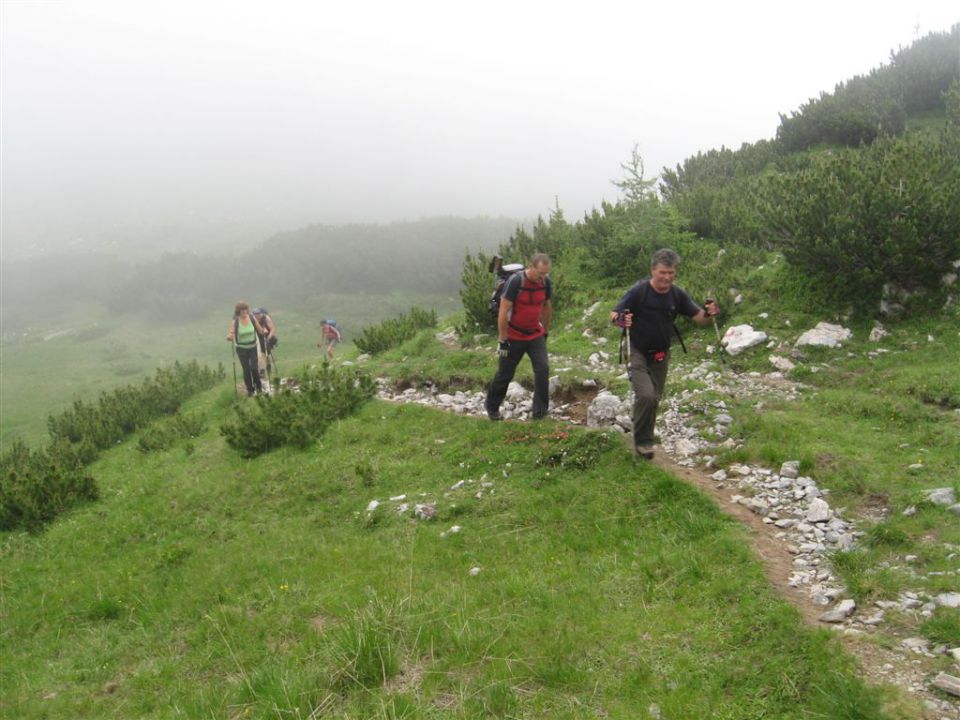 OJSTRICA, 2350 m_21.7.2013 - foto povečava