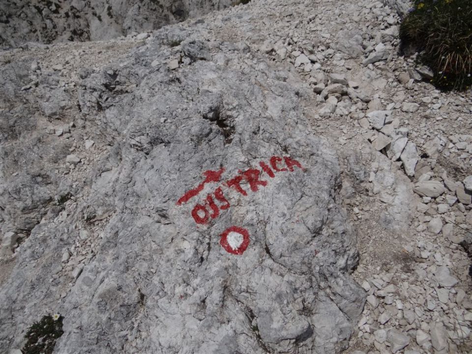 OJSTRICA, 2350 m_21.7.2013 - foto povečava