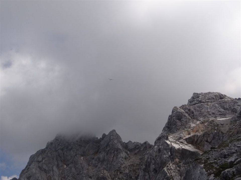 OJSTRICA, 2350 m_21.7.2013 - foto povečava