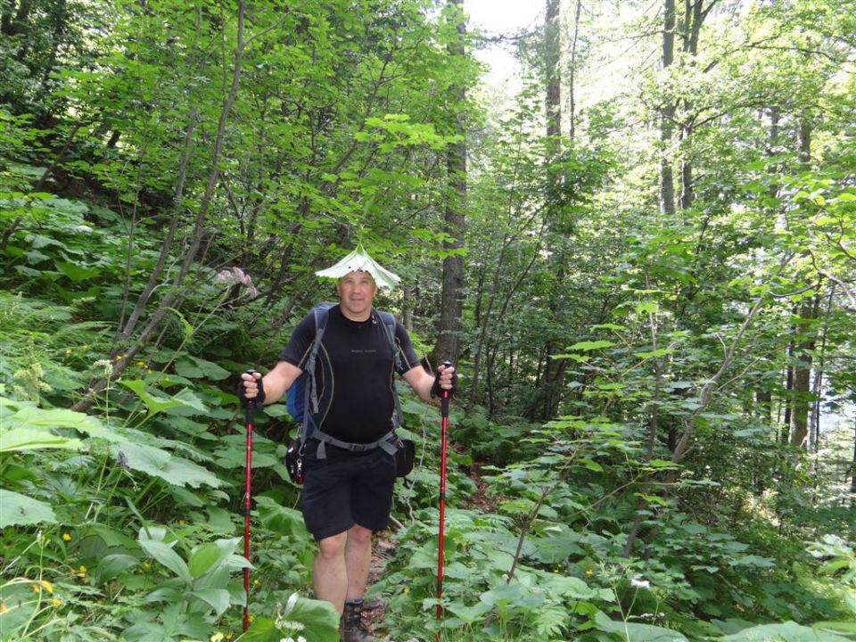 OJSTRICA, 2350 m_21.7.2013 - foto povečava