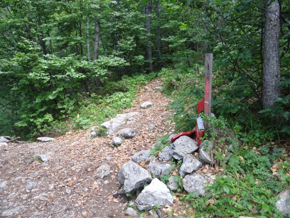 OJSTRICA, 2350 m_21.7.2013 - foto povečava