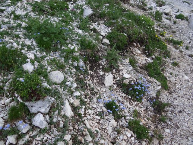 KANJAVEC (2569 m), 27.7.2013 - foto