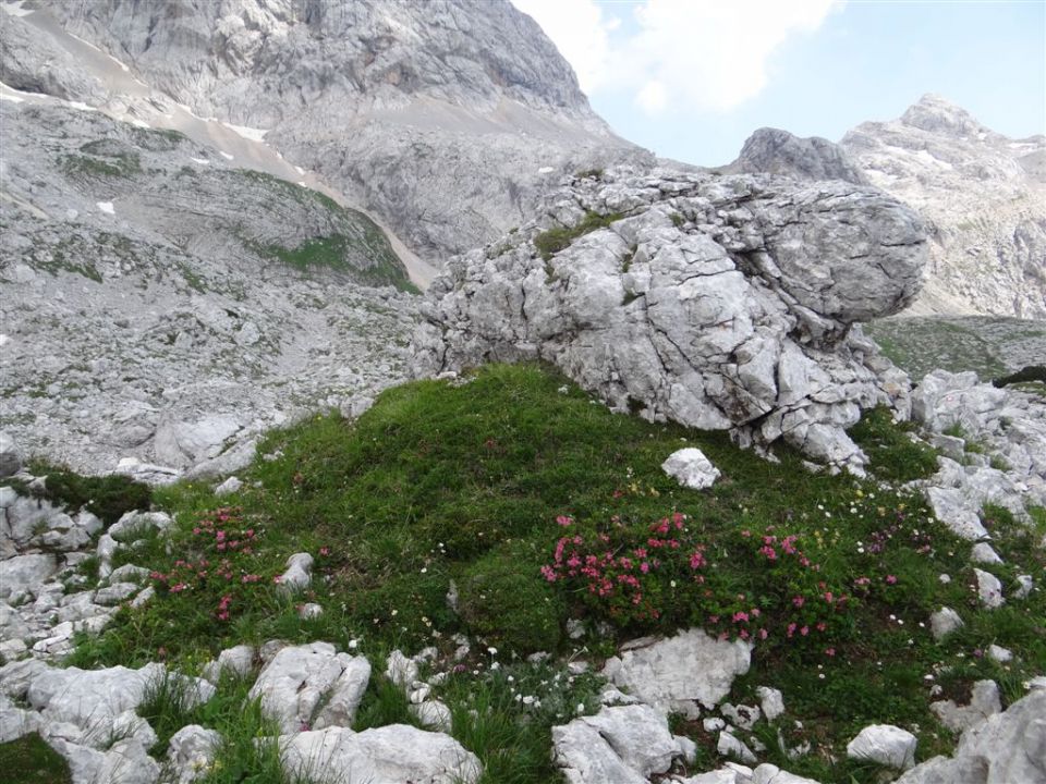 KANJAVEC (2569 m), 27.7.2013 - foto povečava