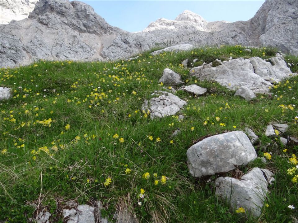 KANJAVEC (2569 m), 27.7.2013 - foto povečava