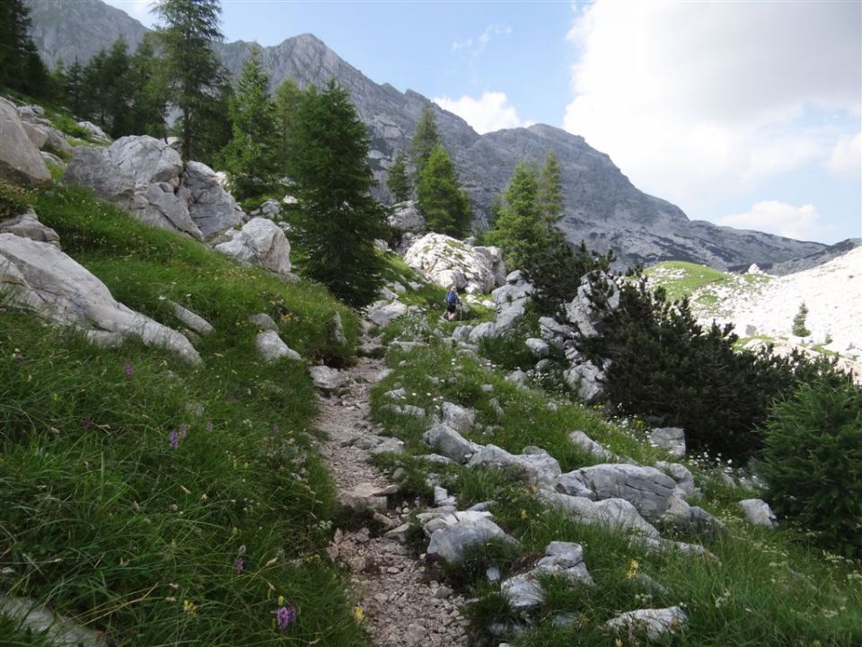 KANJAVEC (2569 m), 27.7.2013 - foto povečava