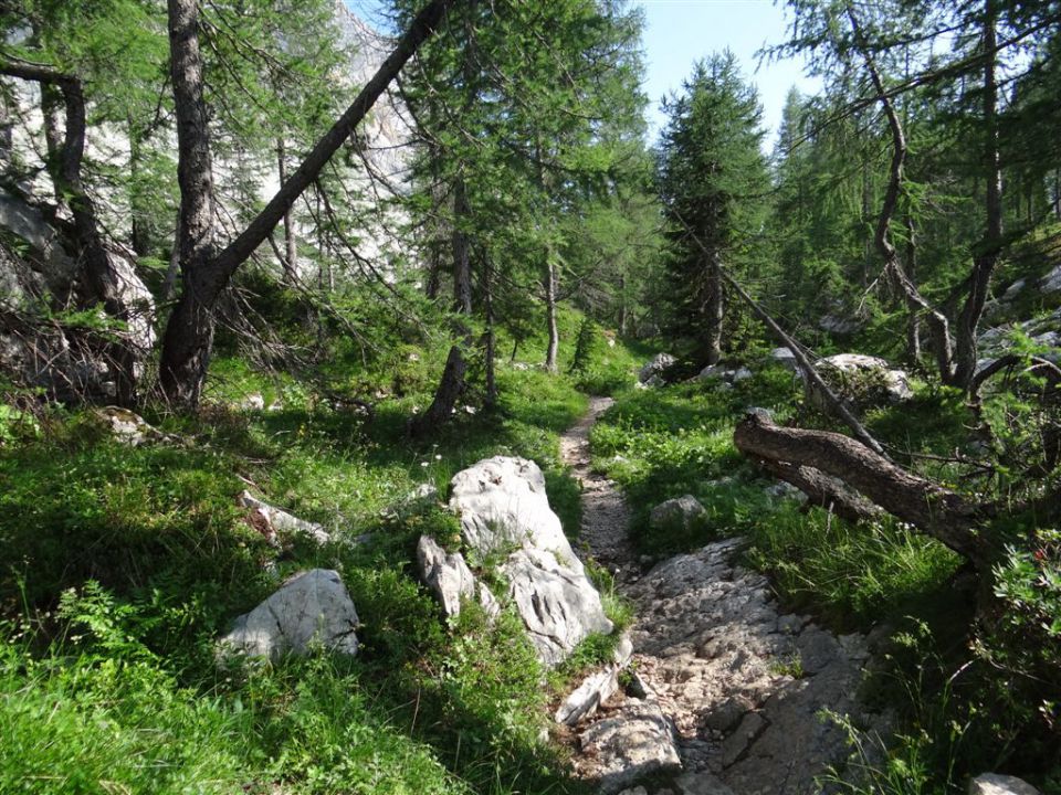 KANJAVEC (2569 m), 27.7.2013 - foto povečava