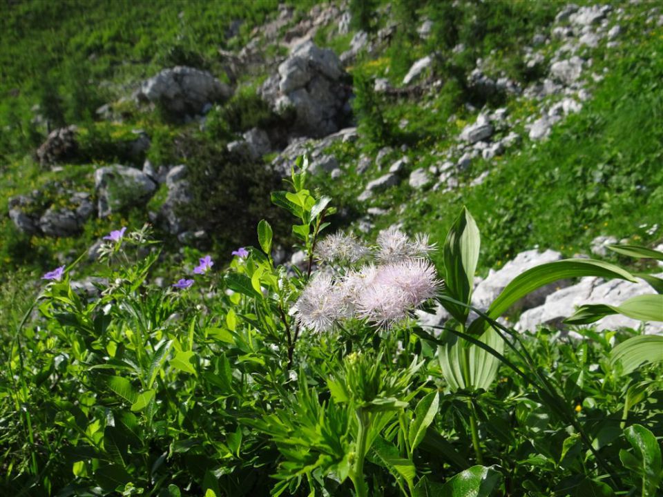 KANJAVEC (2569 m), 27.7.2013 - foto povečava