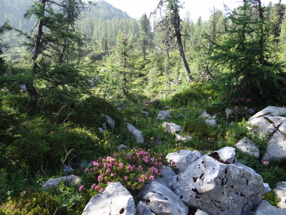 DOLINA TRIGLAVSKIH JEZER, 28.7.2013 - foto povečava