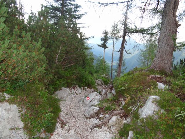 KOČNA (2540m) in GRINTAVEC (2558m) - foto